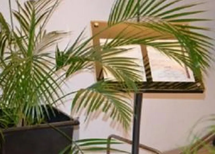 Hotel Le Carline, Sure Collection By Western 3*